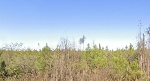 Screenshot 2026-03-03 at 9.34.38PM