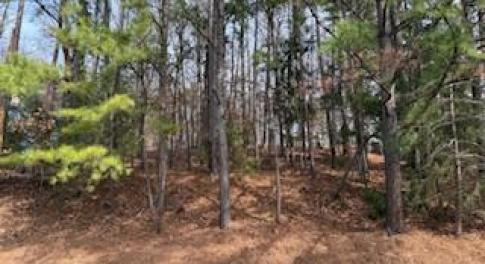 111 Bolinwood Dr. View 1