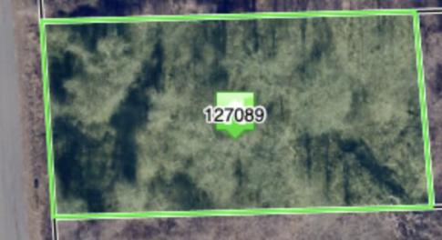 Screenshot 2026-03-03 at 8.54.32PM