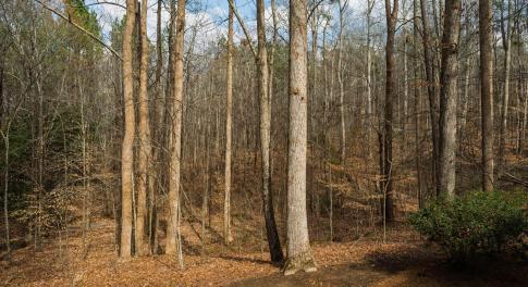 500MarvinEdwardsLn-040