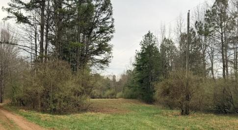 40C421DB-27A2-4A3C-BA9D-320A06A39156_1_1