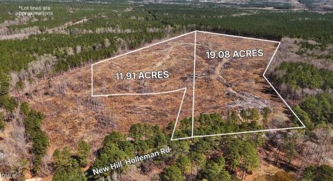 New Hill Holleman Rd 1