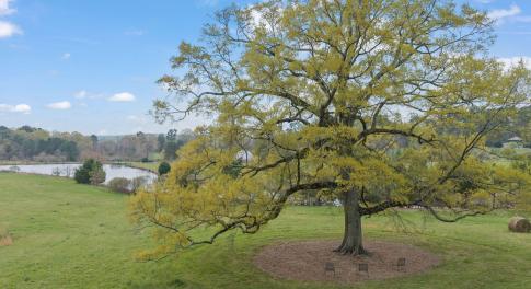 1-web-or-mls-untitled-11