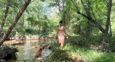 Land Image 11