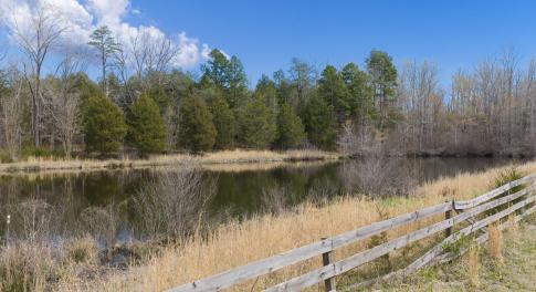 70-web-or-mls-untitled-42