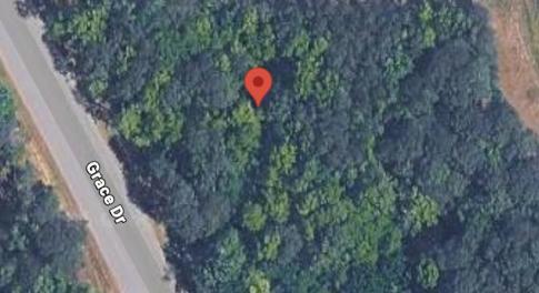 Screenshot 2026-04-02 at 11.24.46AM