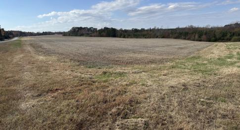 Open Field