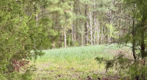 Hwy 86 - 30 ac - portal