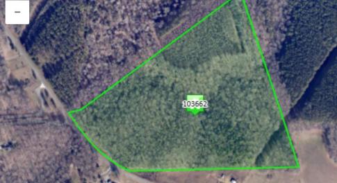 Bethel South Fork Road