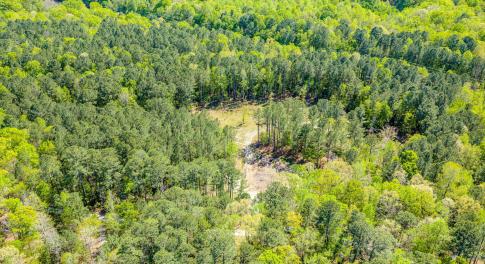 Drone - Taylor Jackson