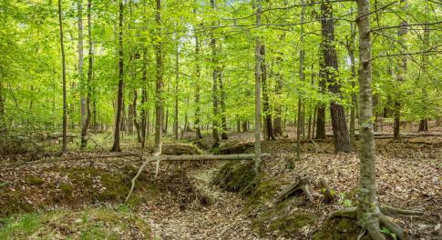 12-web-or-mls-P1119869