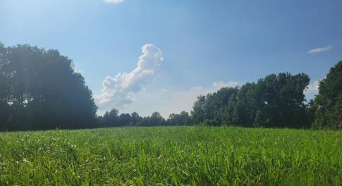 Resized_20250818_164832