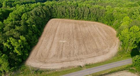 Drone view East