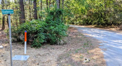 Blueberry Lane