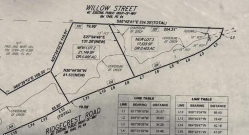 Willow Survey