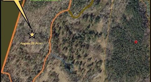 Approxiately 20 acre parcel