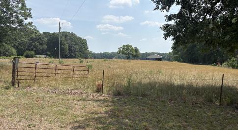 cornwallis2 - pic5