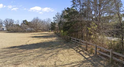 Close Up with Fence