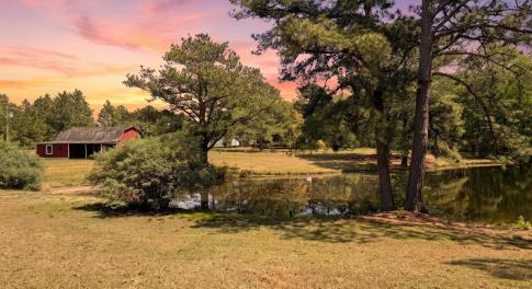 Barn & Pond
