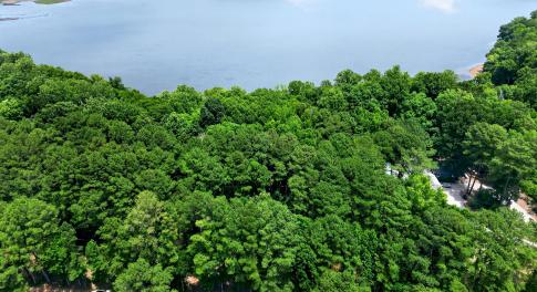 Aerial-1
