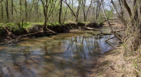Doll Branch Road 20