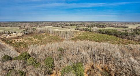 056-13064EthridgeRoad-Whitakers-NC-27891