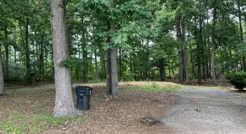 129 Entrance wooded