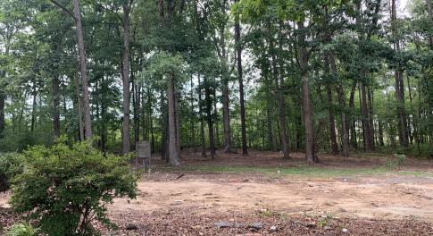 129 Green Center Lot Green