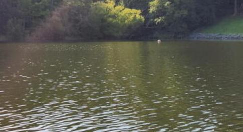 20240801_085338-DESKTOP-8UA5R2A