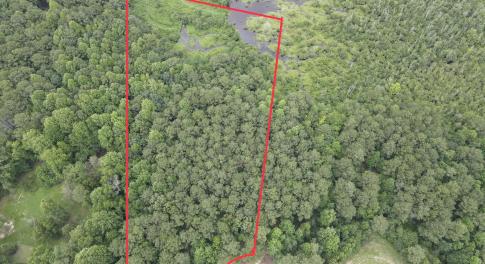 dji_fly_20260722_182130_824_178475891137