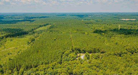 Chatham Lumber 77.2 Drone