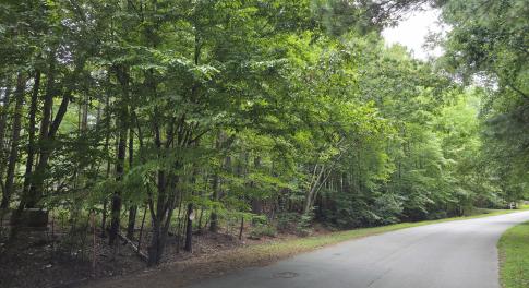 Community Amenities
