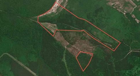 Aerial