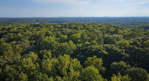 DJI_20260803181115_0026_D