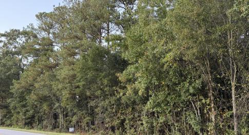 2.4 ac wooded lot on paved road