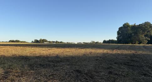 land view