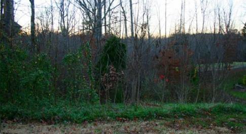 Build Your Dream Home Today