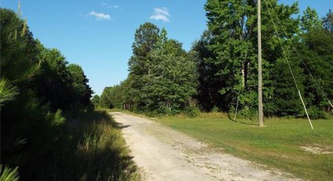 Road to entrance
