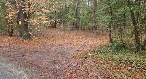 Driveway with road frontage