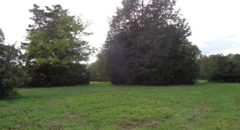 Partially cleared & Partially wooded