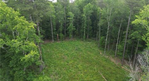 Cleared area