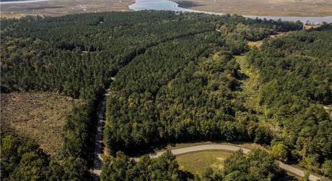 Aerial View of Area