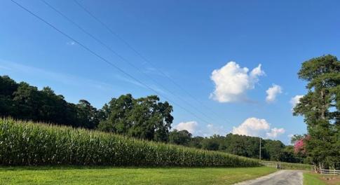 Cropland and mature hardwoods.