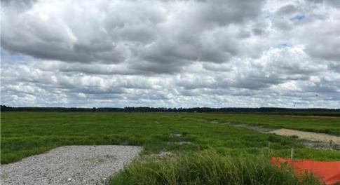 land