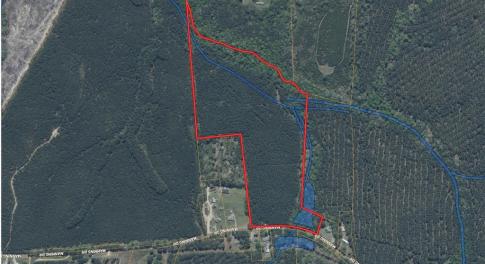 Wetlands Aerial