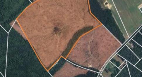 Back 45 acres with road right of way access