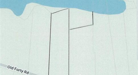 Plat represents wooded lot.