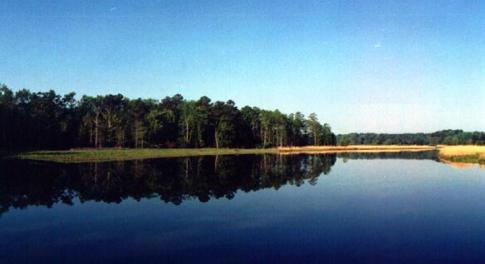 Looking downstream at property towards Jamestown on Powhatan Creek