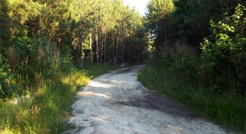 Entrance to the 10 acres