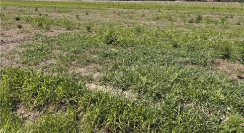 Stunning vacant lot